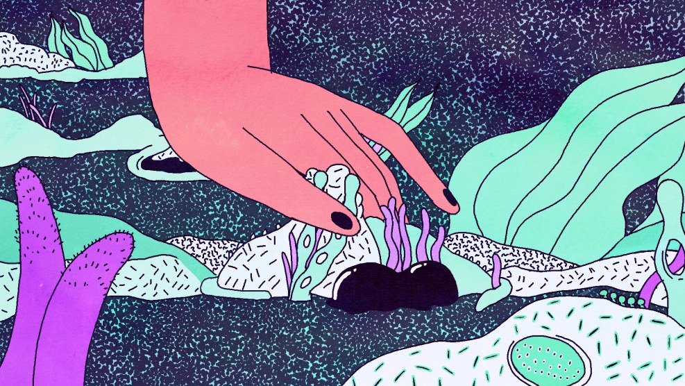 Porn actress Cindy dollar dp