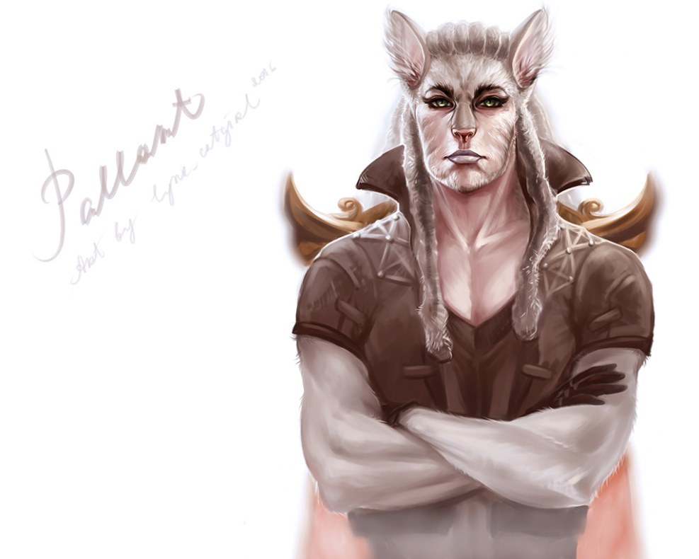 The initial location of the elves in Archeej