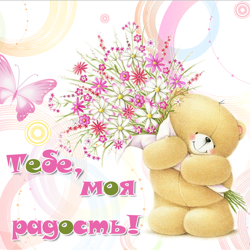 Kotb x. "I always loved you"