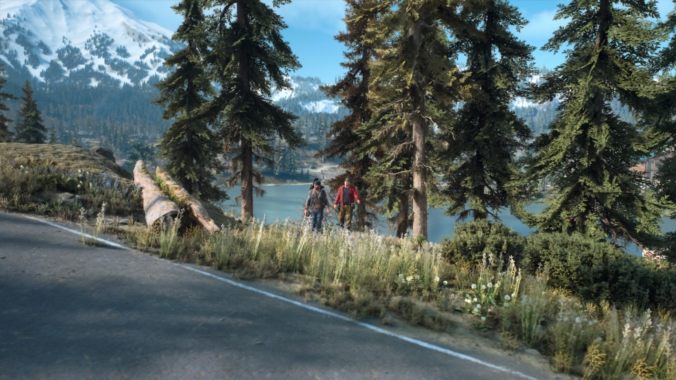 Days Gone PS4
