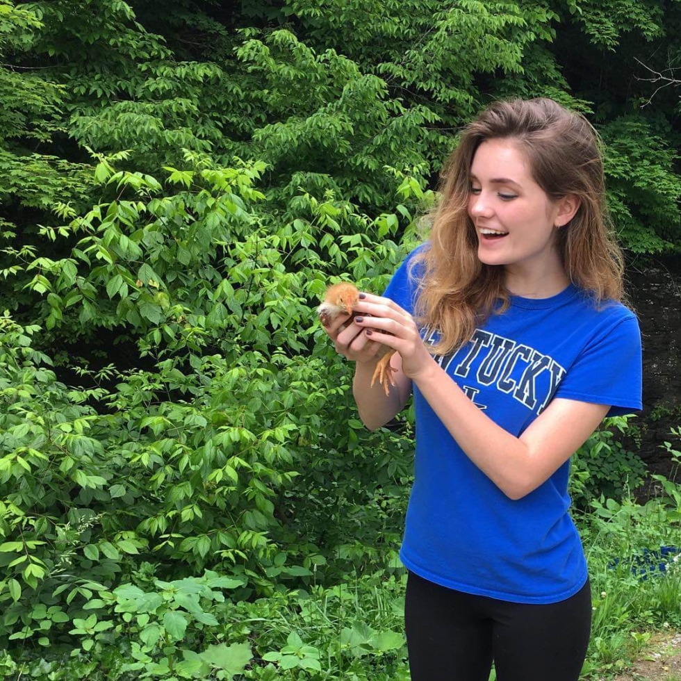 Faye Grant, Mimi Rogers, David Corenswet- Affairs of Steate 2018