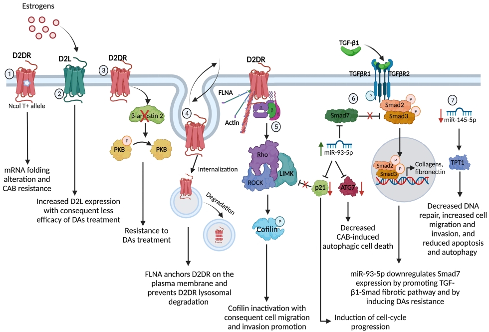 Parkinson subsurface
