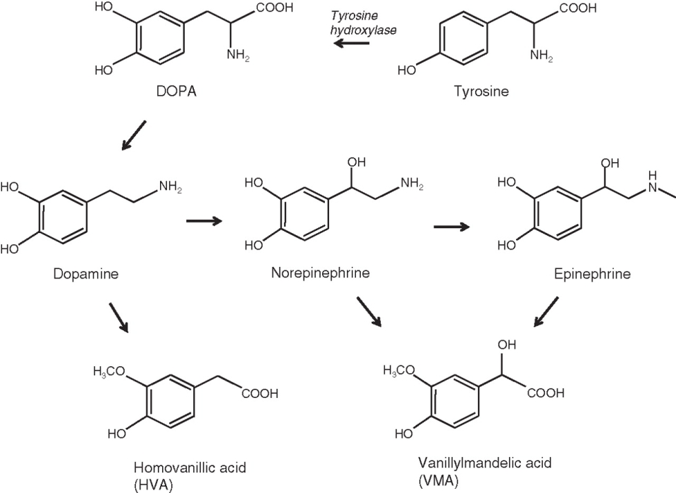 Sims 4 Ellie from The Last of Us
