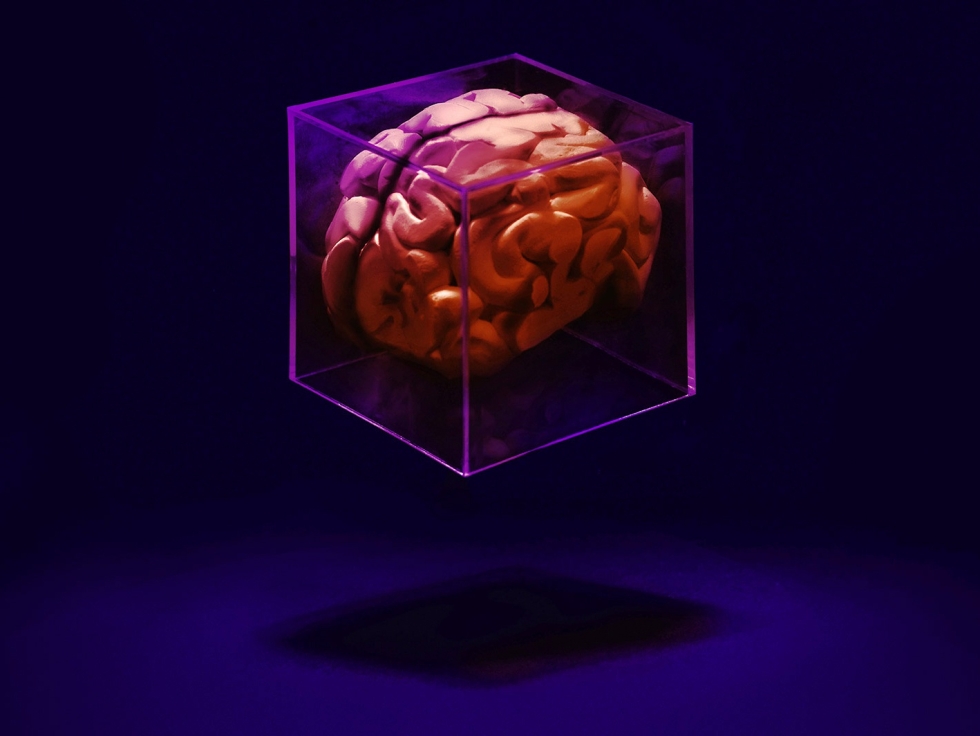 The Last of Us Sarah 3D