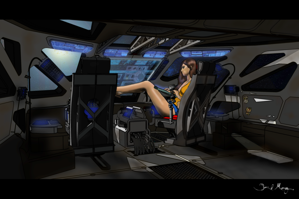 Mysterious Life Reaction in the SHIP game