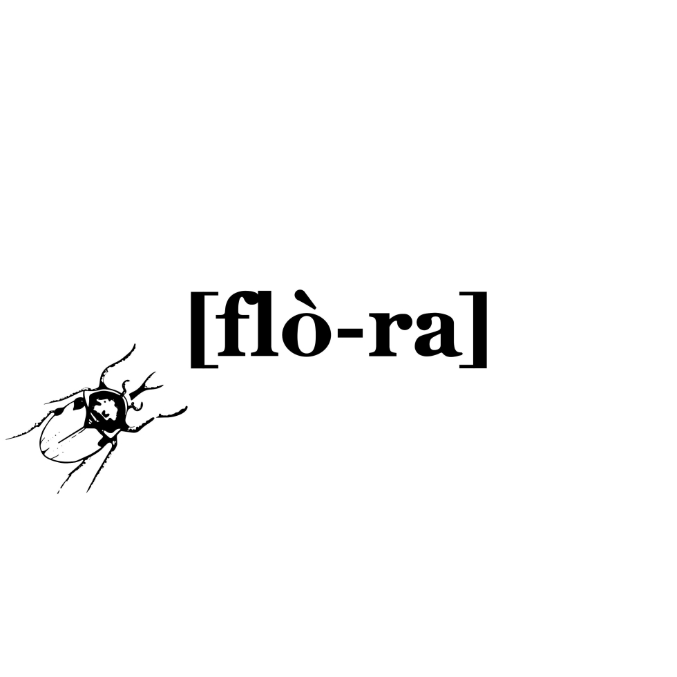 Bendix Starter 157qmj 150cm3