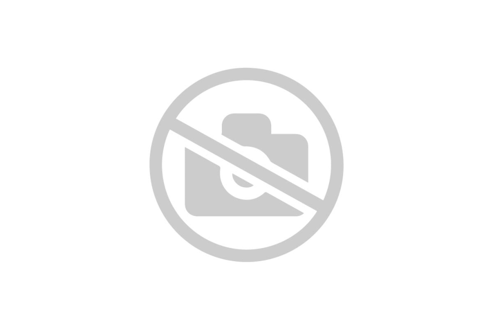 Mongoose LS 9000d keychain