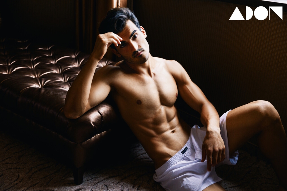 Pirate flag of Assassin Creed