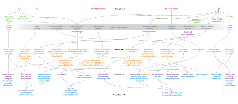 Ecological background minimalism