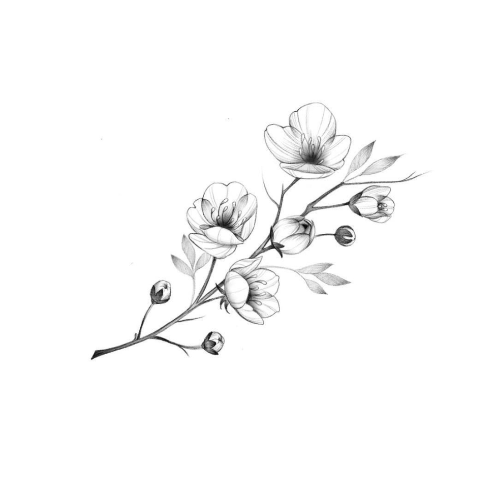 Japanese pagodas and mountains Sakura