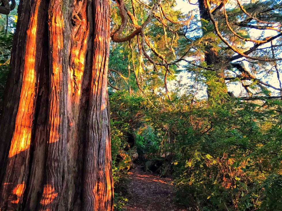 Olga Makhno Pictures