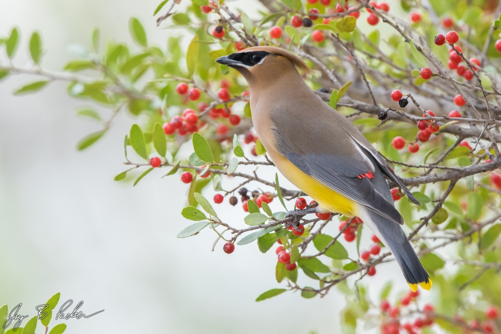 Cute background for a hat