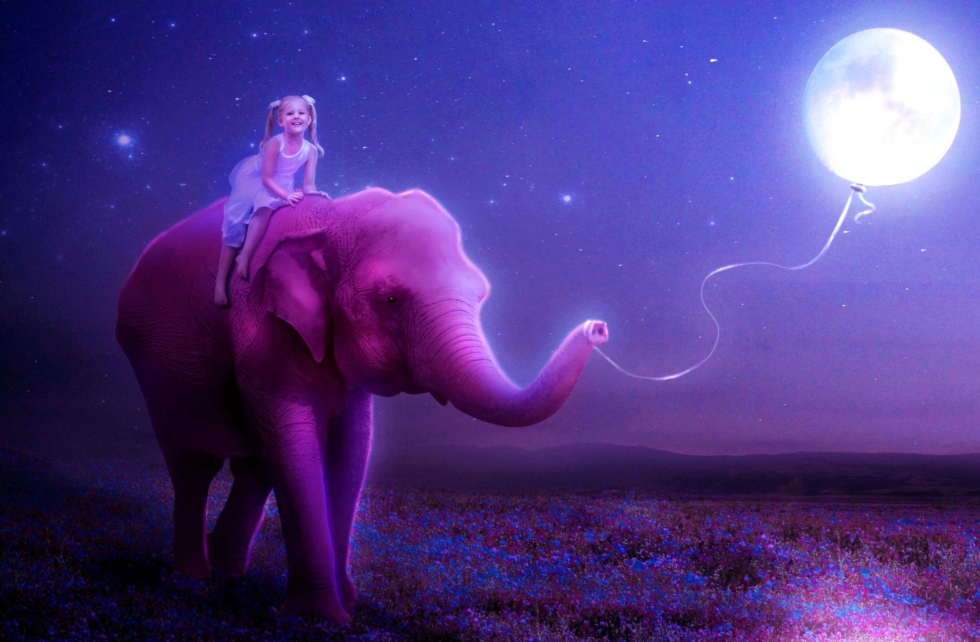 Pink elephants