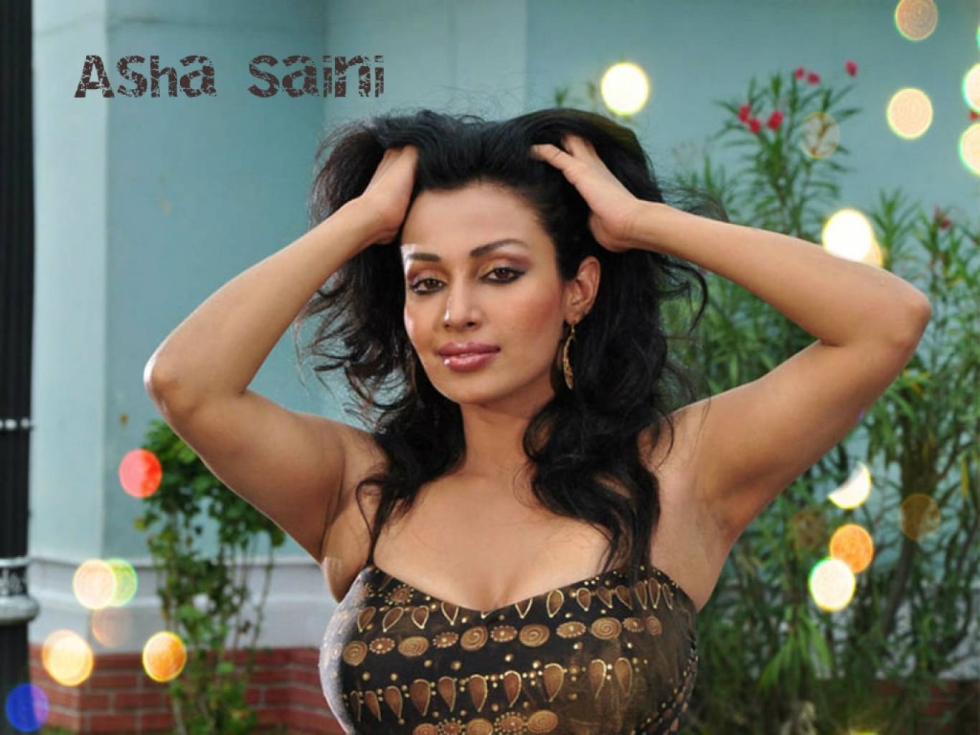 Flora Saini Hit Movies