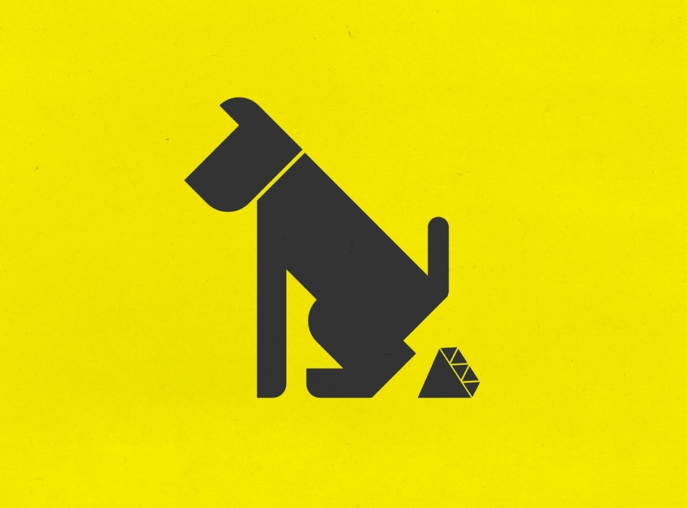 A butterfly on the hand