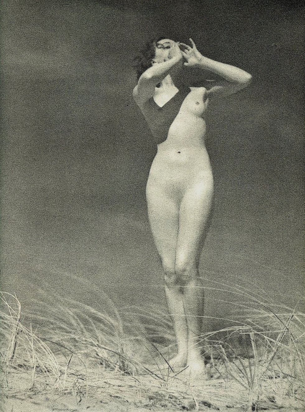 Eva Brown Porn actress