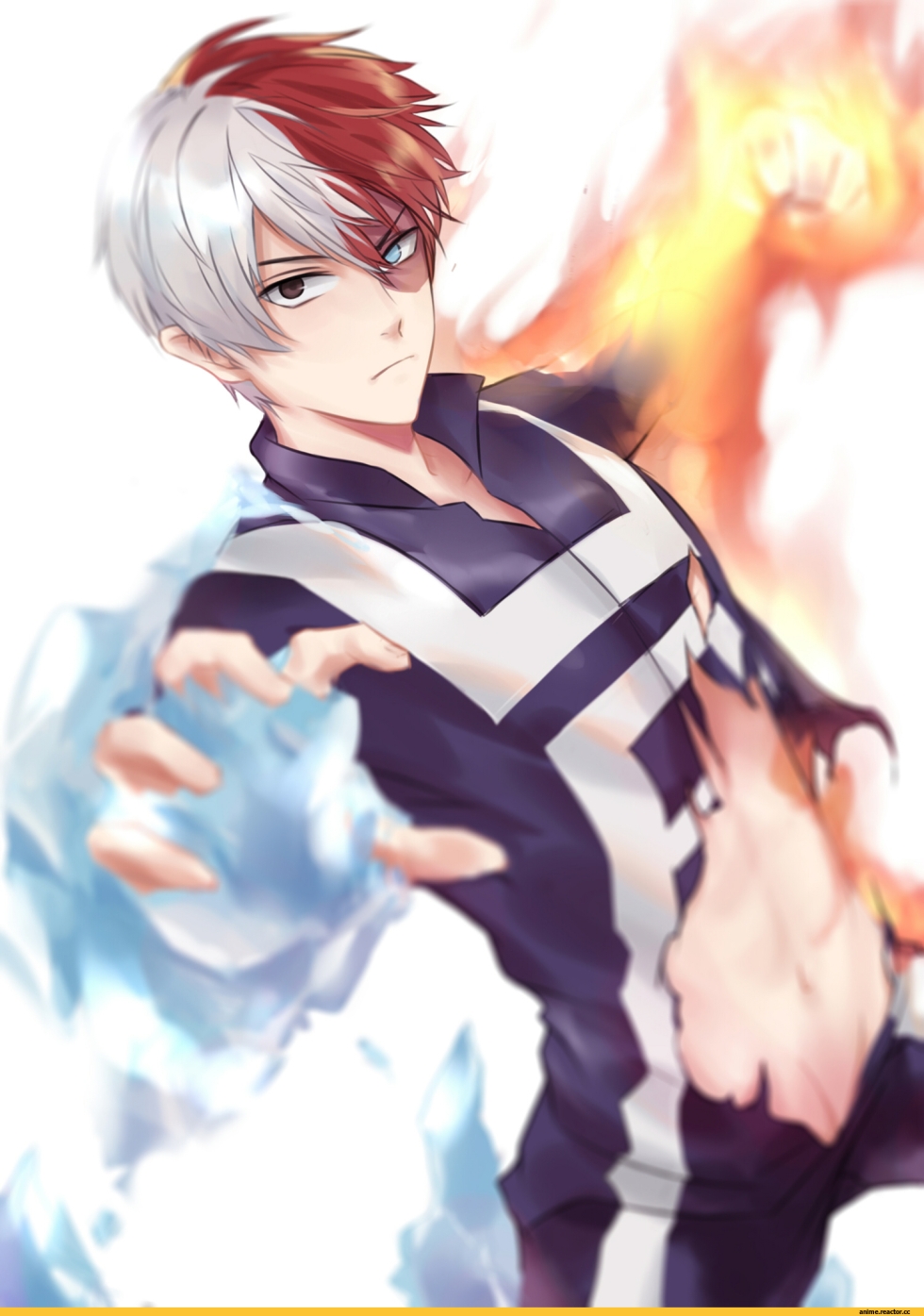 Todoroki Shoto Yaoi Hentai