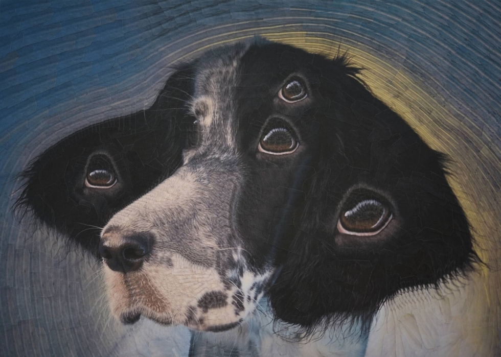 Nika Kolosov Nicole Young Ross