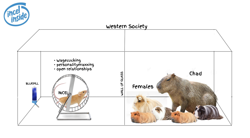 Cowboy is a handsome man unshaven