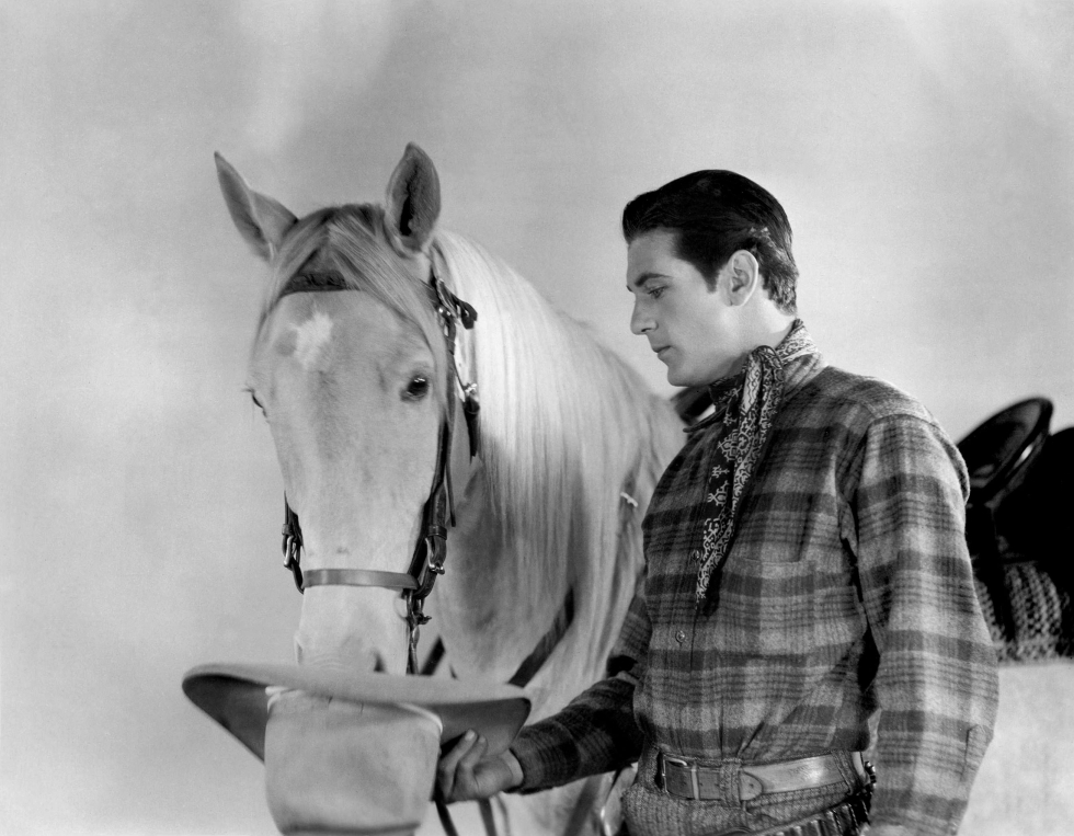 The cat of the Wild West Disney