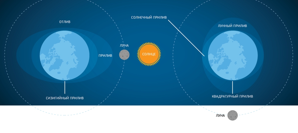 Princess Luna Shipping