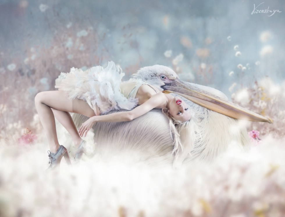 Maria Hideshel cowards