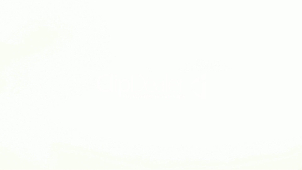 Leader PZ19JB carburetor