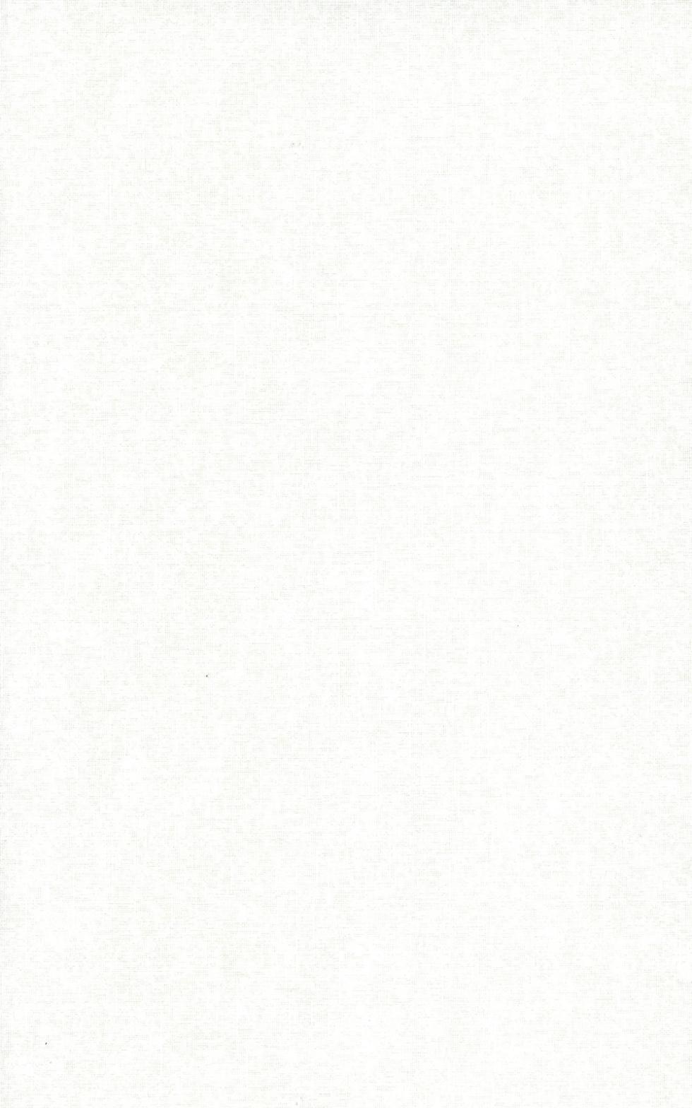 G-1103/Mr porcelain tiles Beton