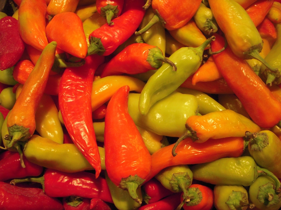 Christmas tree with pepper