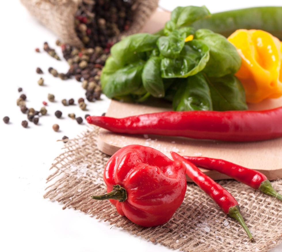 Red Hot Chili Peppers i'm with You Cover