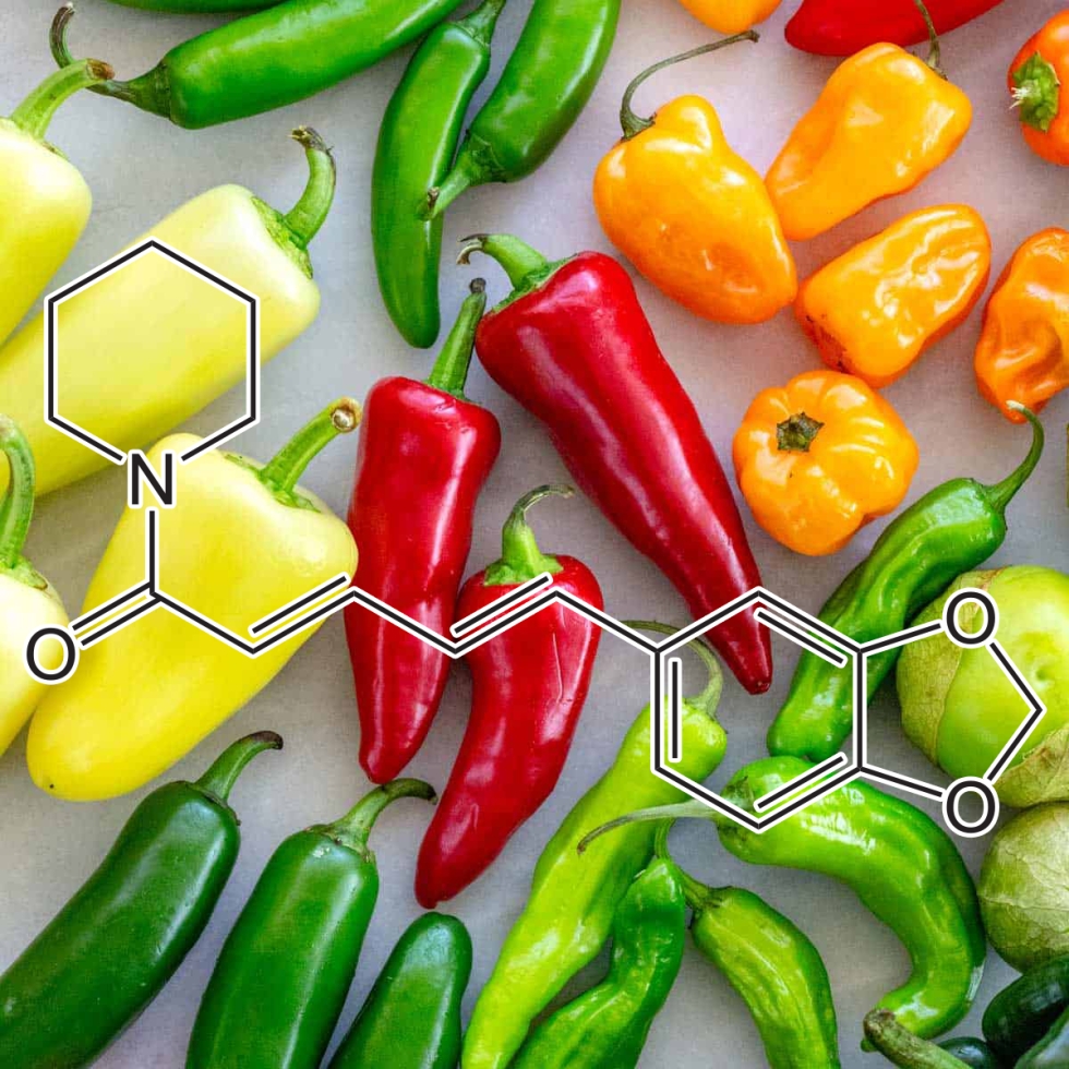 Peppercorn chili original pictures