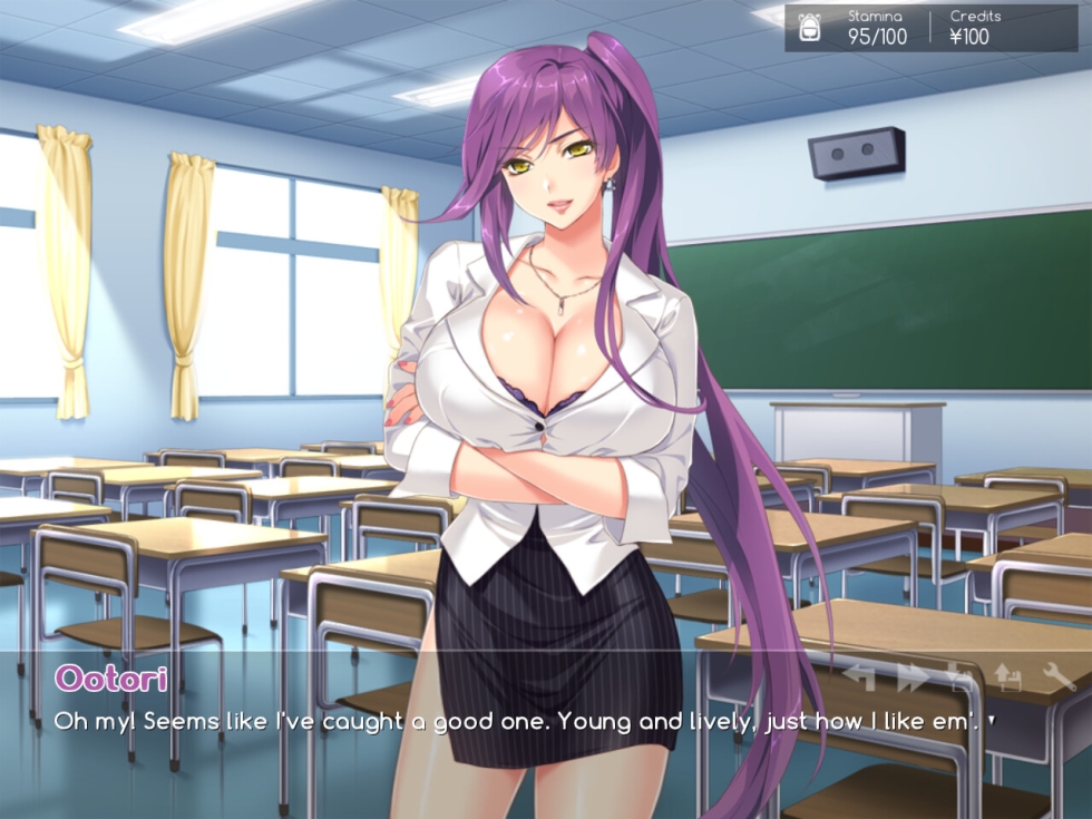 Motto Haramase Oppai Gakuen Novella