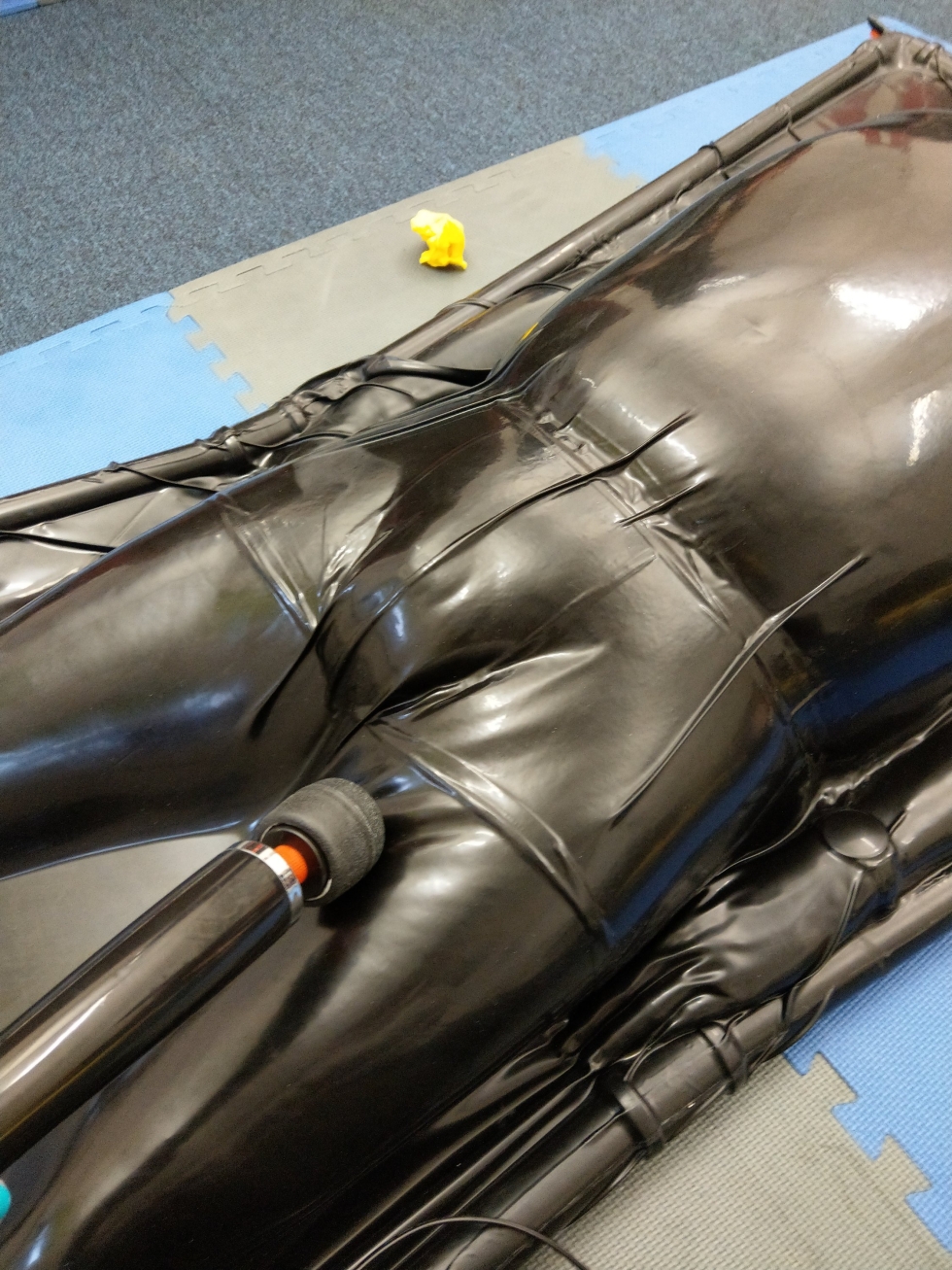 VacBed Transparent