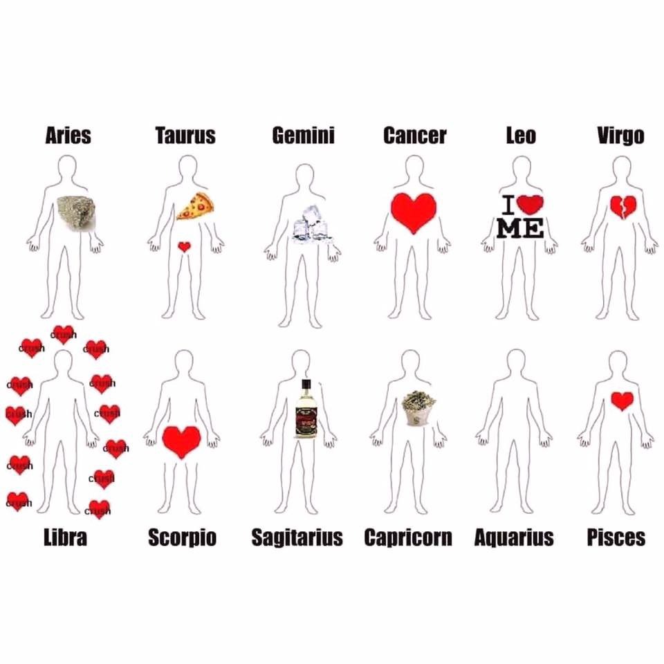 Scorpion Sun (60 photos)