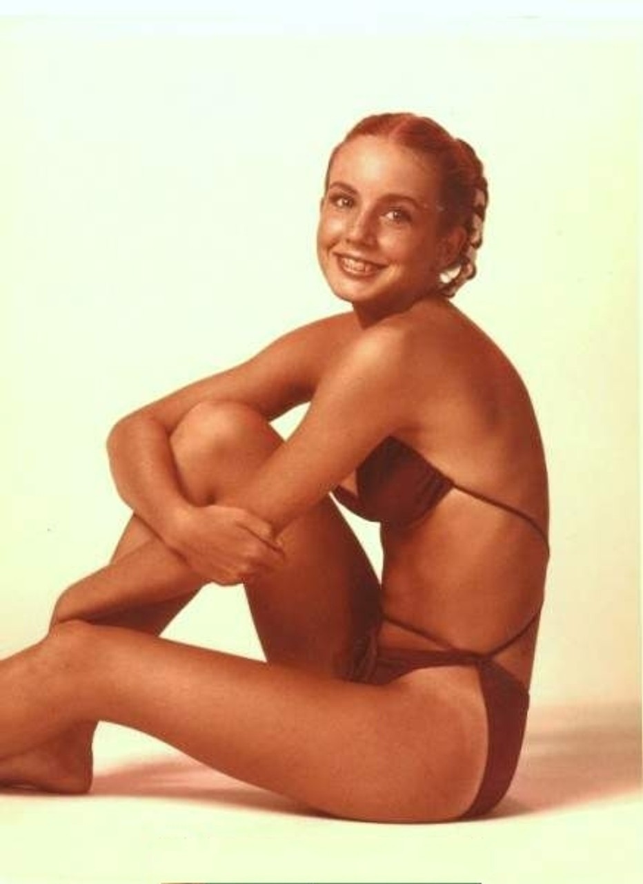 Dana Plato (74 photos)