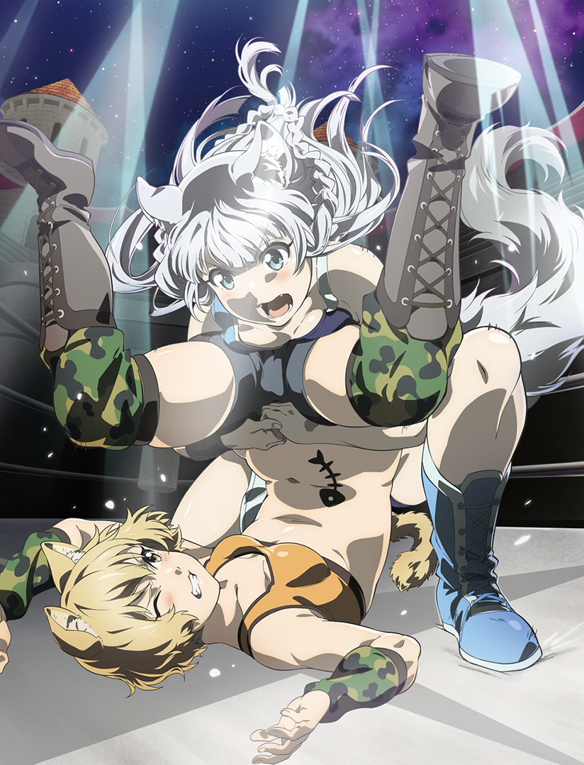 Hataage Kemono Michi (64 photos)