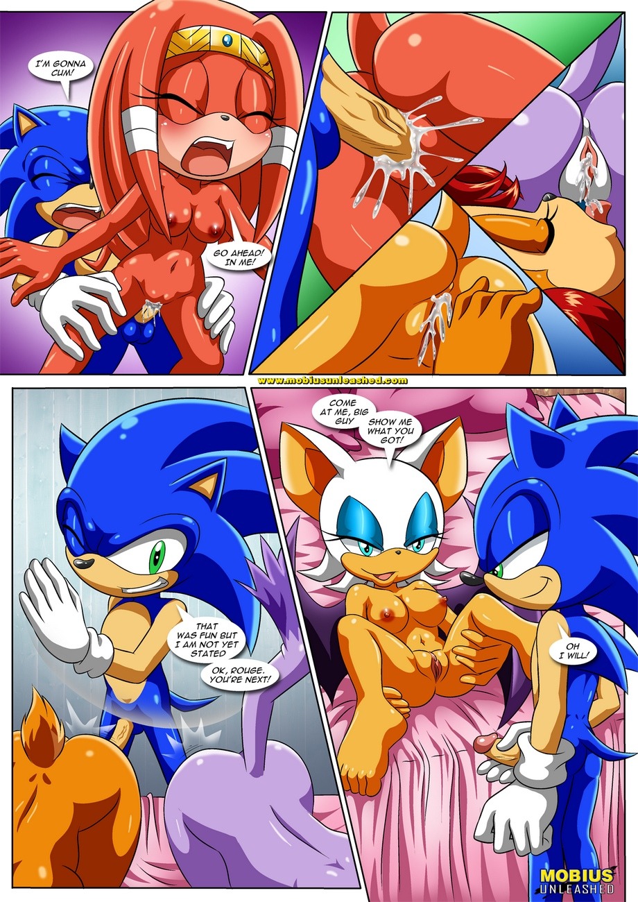 Sonic Parody (57 photos)