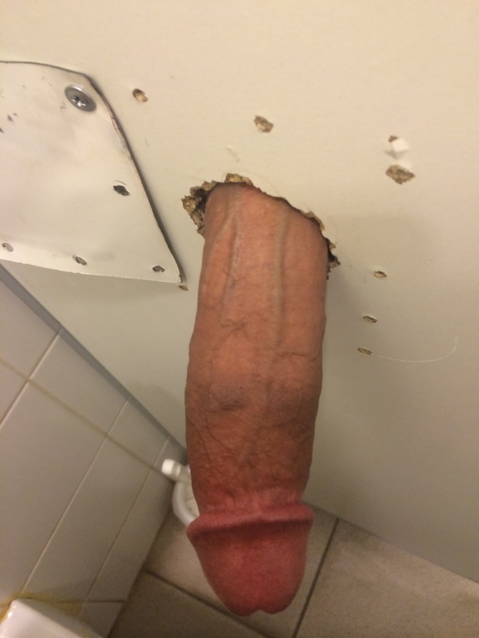 Fucked mature in the toilet