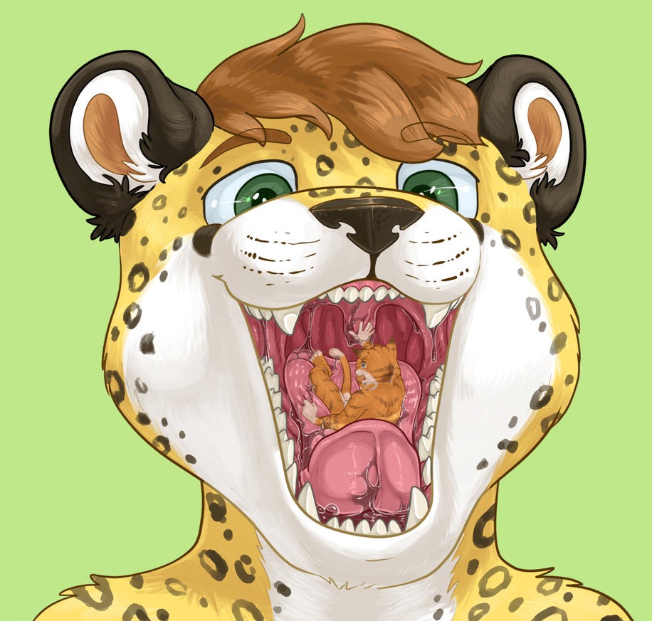 Anime of the girl cat