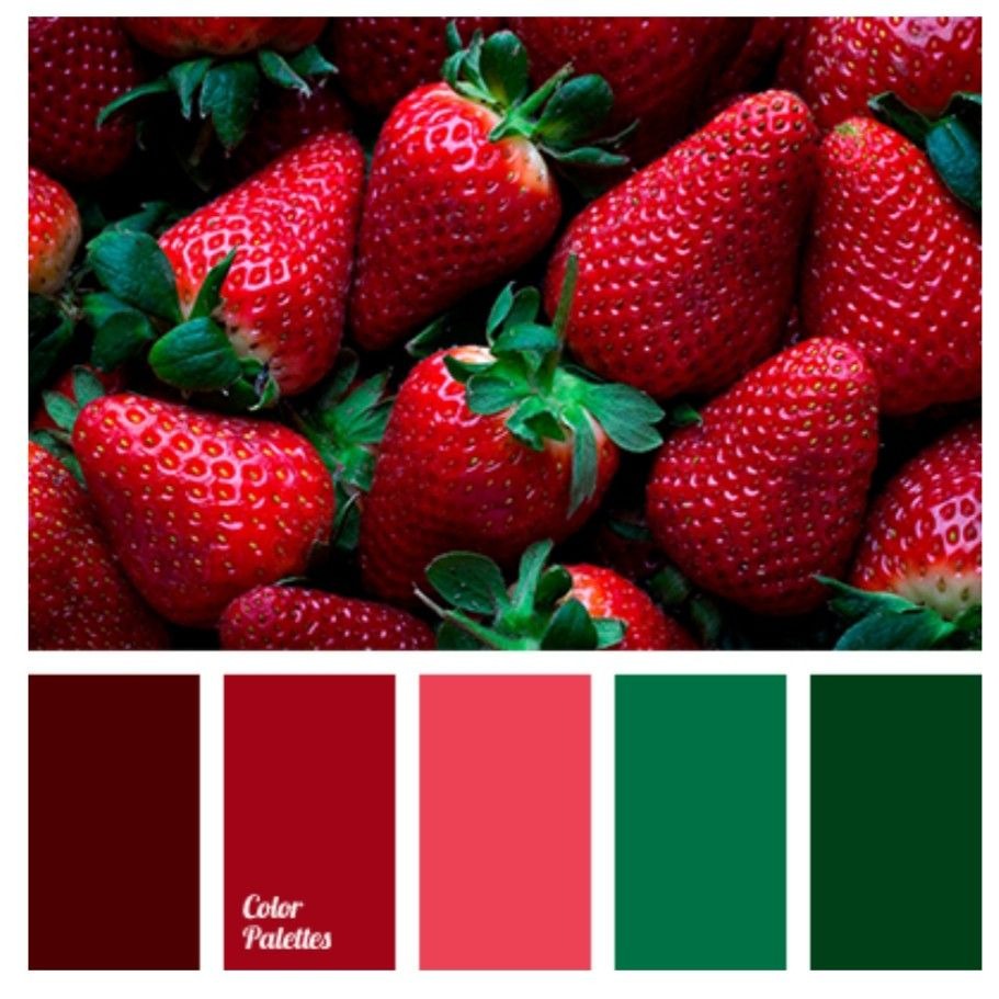 Anita Silver Starlets