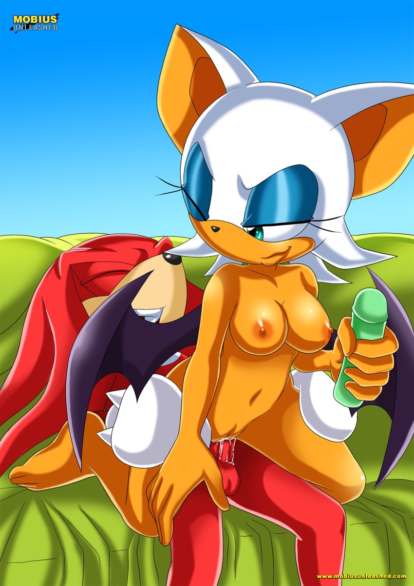 Hentai Comics Sonic Queen of Thieves