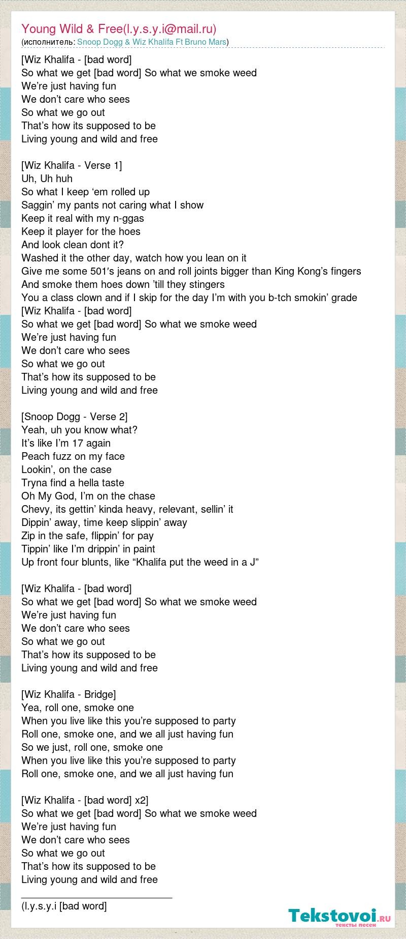 Hey Ladies drop it download text