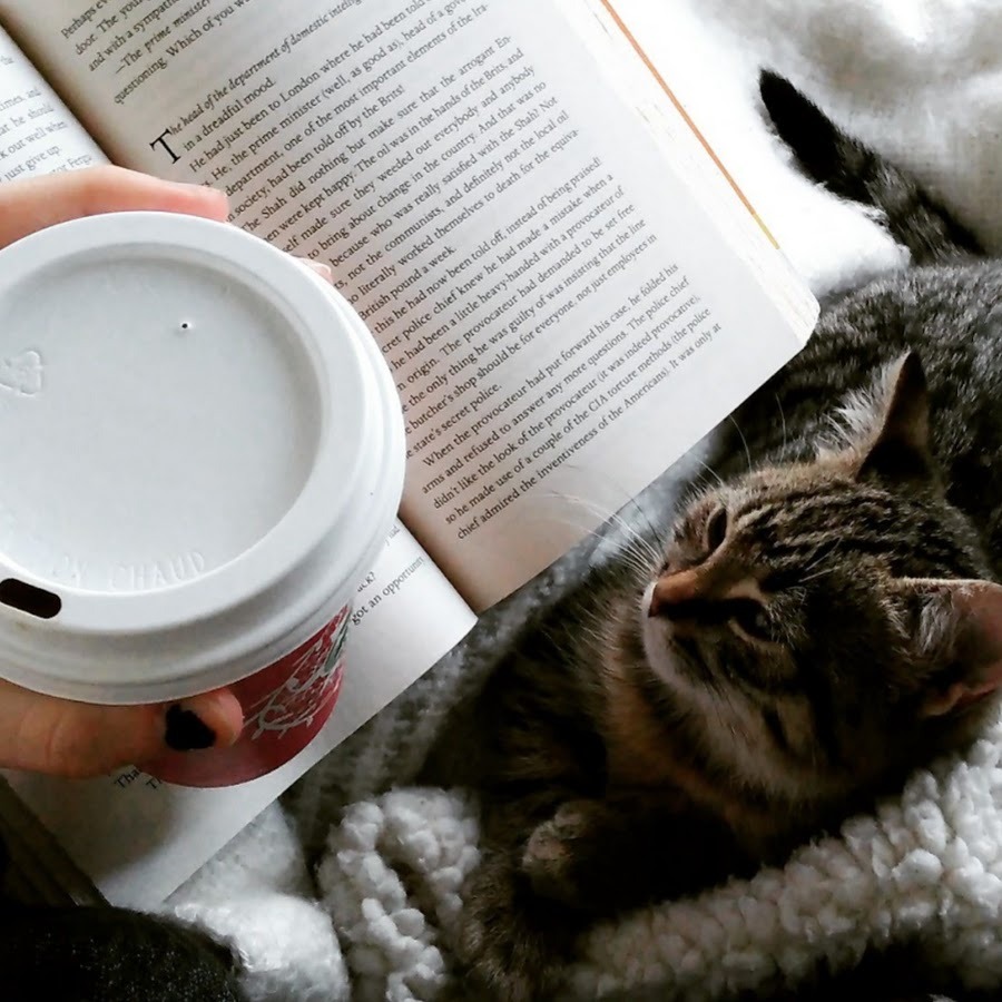 JUFS Octagon Gerl Oliveira