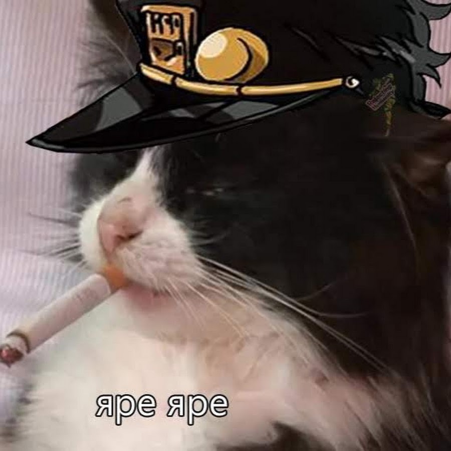 Cat Jojo Yare Yare