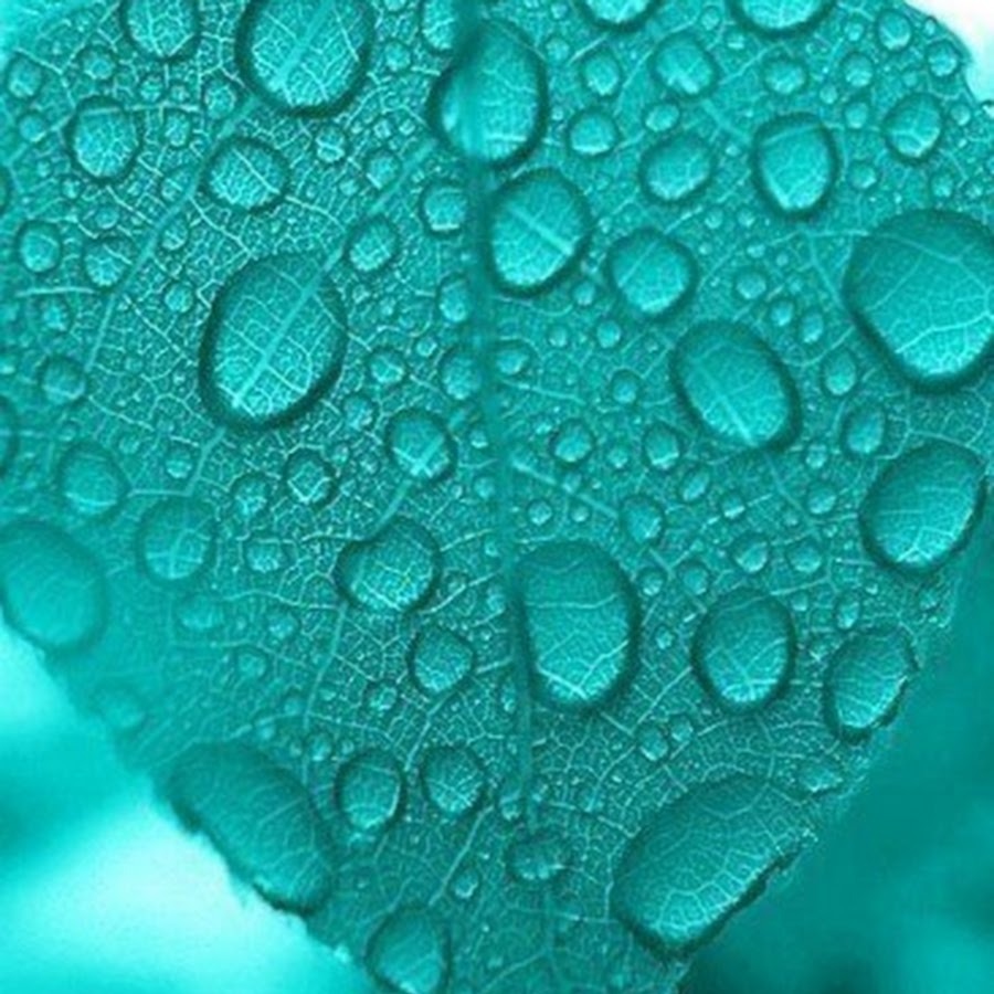 Turquoise background