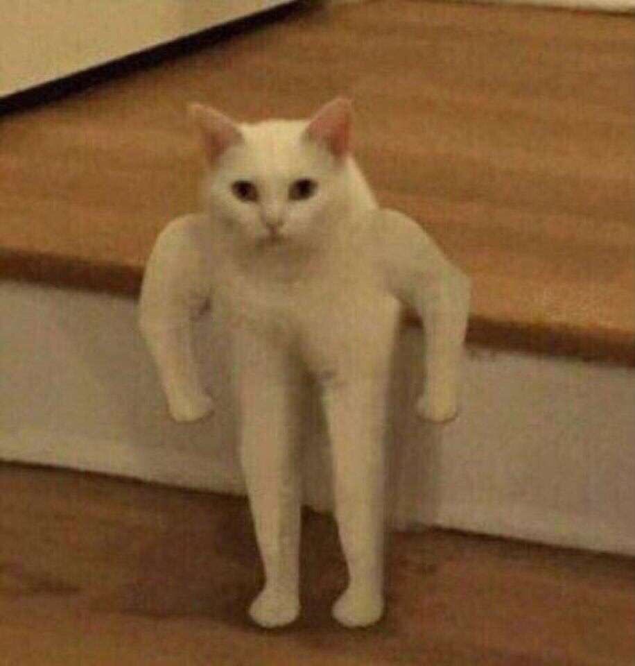 Egor Szhadyvin Sergeevich