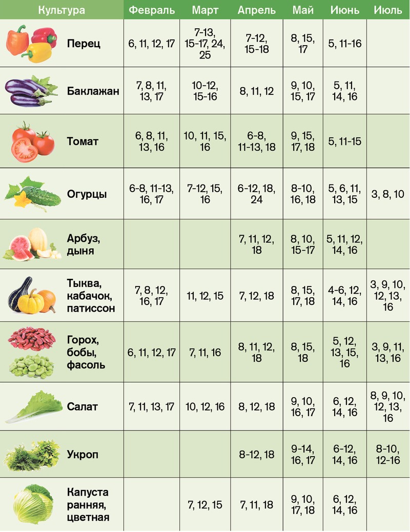 I smoke mom again text again