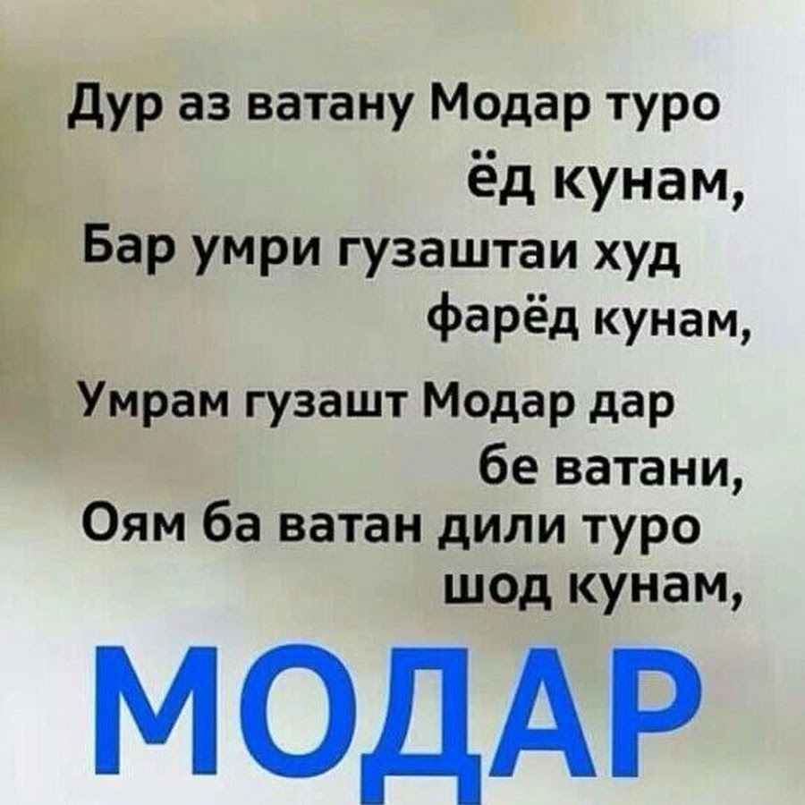 Nancy Dare (67 photos)