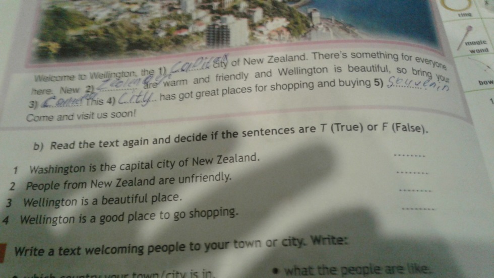 Panasonic microwave NN-SD366W