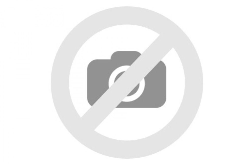 GG ALLIN in a swastika T -shirt